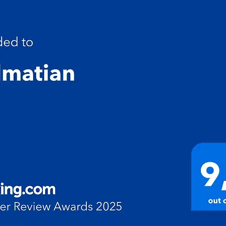 Dalmatian