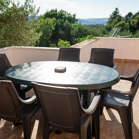 Dalmatian דירה ביליצה