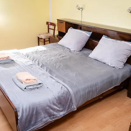 Dalmatian ביליצה