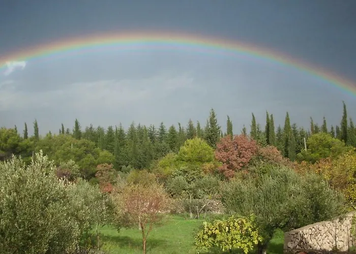 アパート Dalmatian *